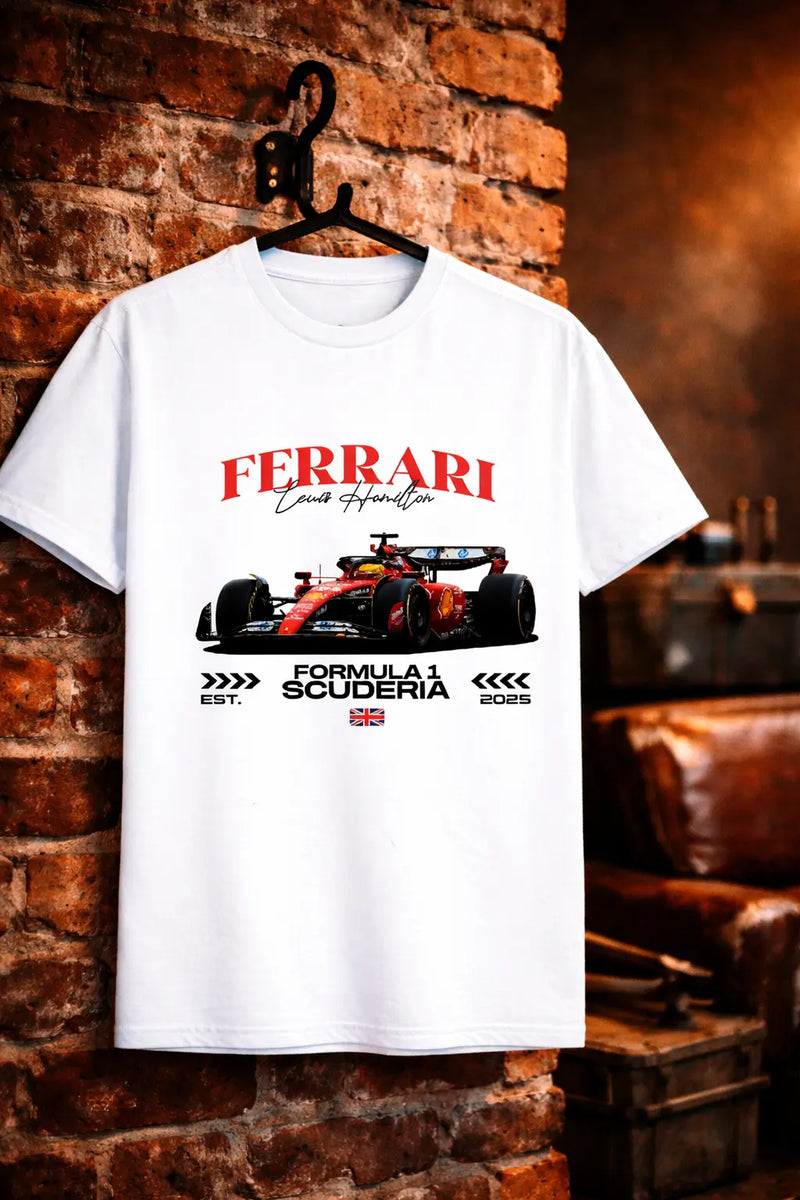 Formula 1 Lewis Hamilton tshirt | F1 lovers tshirt House Of Anit